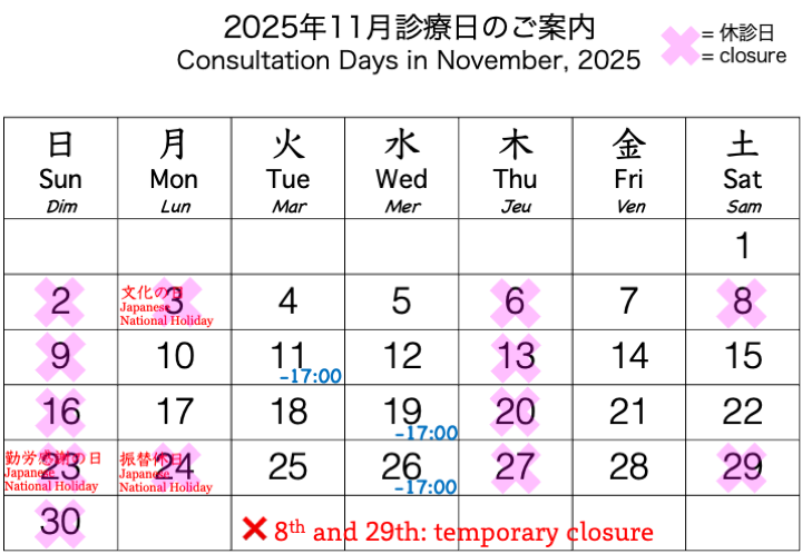 calendar November, 2025